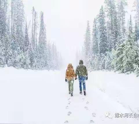 听雪，让人沉醉的天籁之音！