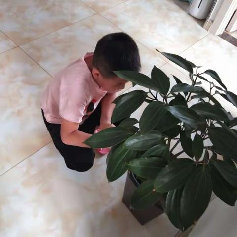 一年五班 王佳奇 我爱劳动