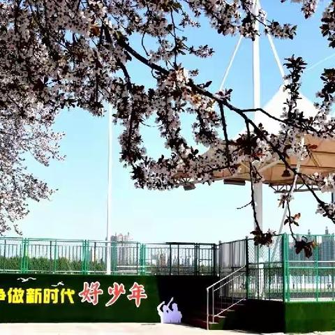 🌸花开三月🌸居家十一🌸记录景丰中小学二年级（4）班家人的美好🌸