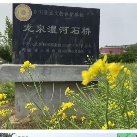 龙泉乡权印小学附属幼儿园—🌷春游活动～带小小的你，看大大的世界🌿