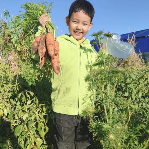 美之根综合实践课程—秋之烂漫