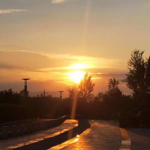 🍀 璐璐💃的美篇