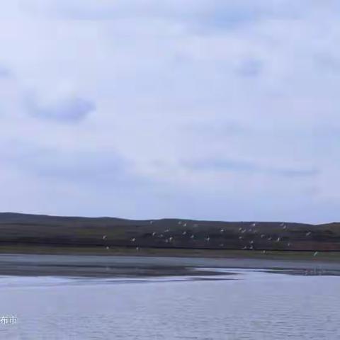 大西沟农场一日游