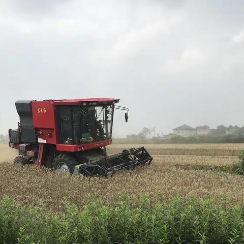 艾庄乡：多措并举保丰收