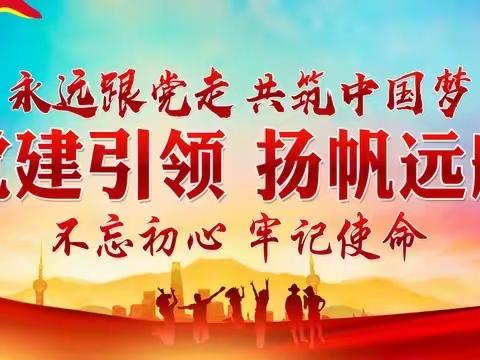 “党建引领风帆劲 擎旗奋进阔步行”——丰田初中党支部开展党建重点工作纪实