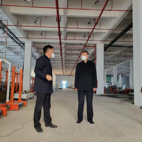 王献超区长带队调研重点项目建设工作