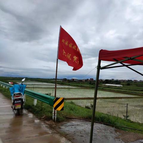 风雨欲来，珠圩不惧。