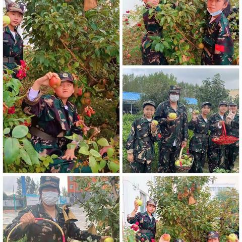 品瓜果飘香  尝丰收喜悦——区一中果园采摘活动纪实