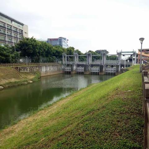 滨海湿地科普行―9月26日红树林生态公园观察日记