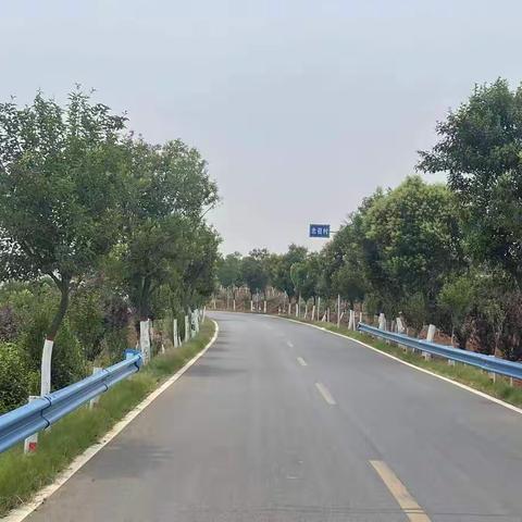 【盐驿古镇】盐镇乡倾心浇筑“梧桐树”，诚心招引“金凤凰”