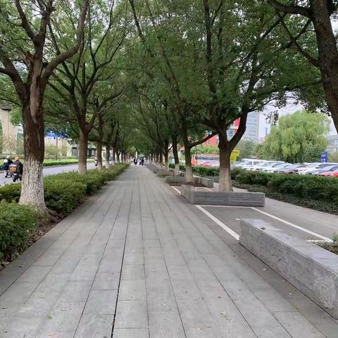 十月走园——元和街景