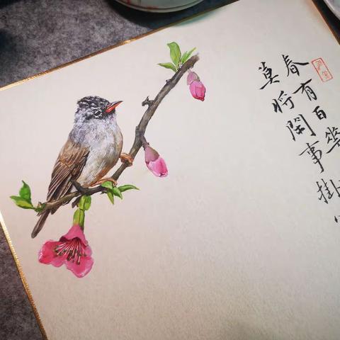 迎春的小鸟