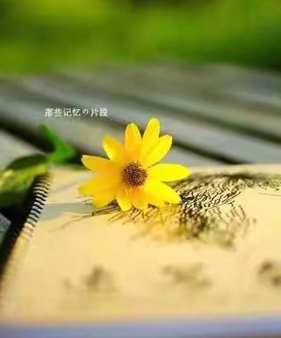 月朦胧，鸟朦胧（之二）