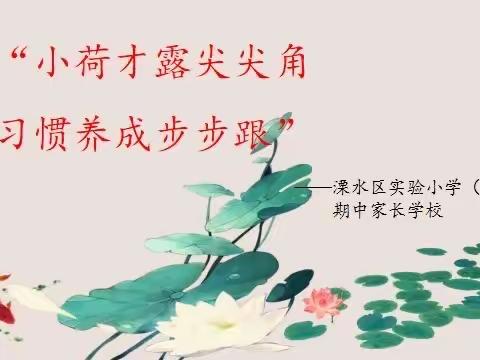 小荷才露尖尖角 习惯养成步步跟