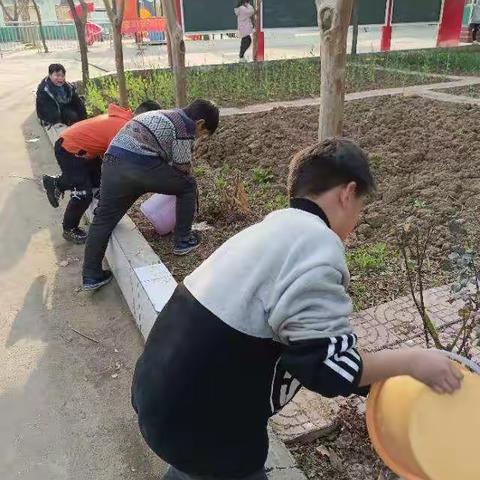 贺营南校孩子们为植物培土浇水