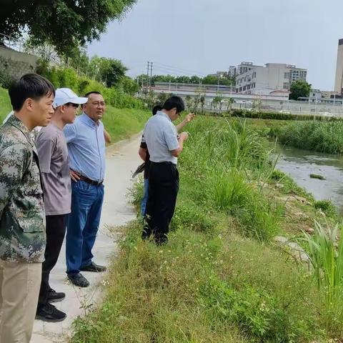 儋州市治水办组织排查南茶河断面及入河排污口水质情况