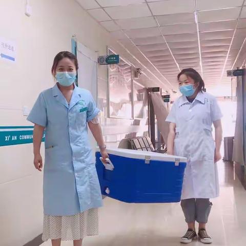 热爱本岗，敬业担当