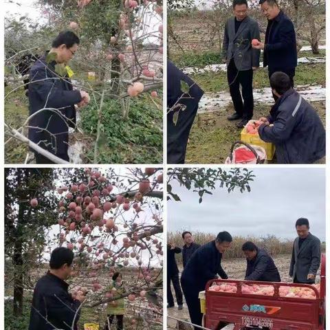 太村镇多措并举抓好农作物抢收工作