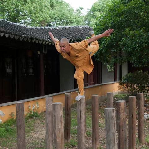 苏州西山石公山“少林梅花桩功”目睹记