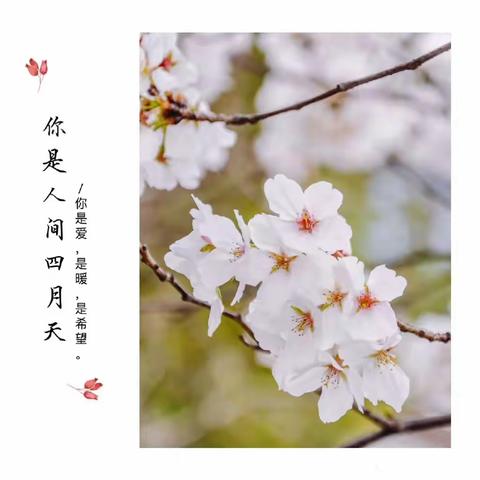 最美人间四月天，共“课”时艰勇向前，——兰陵县第九中学线上教学总结