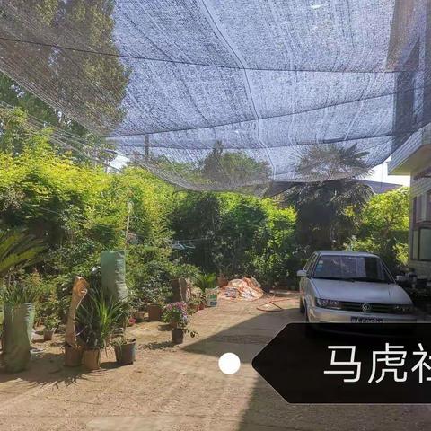 新合街道妇联的美篇