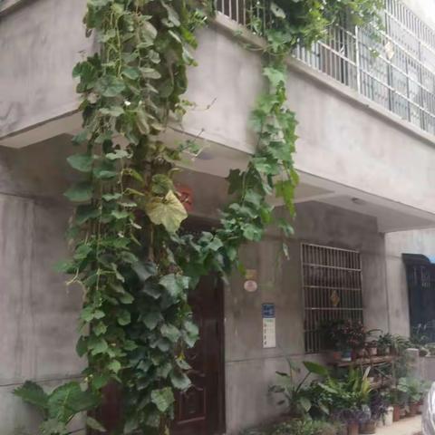 新合街道妇联给肖和村美丽庭院示范户挂牌