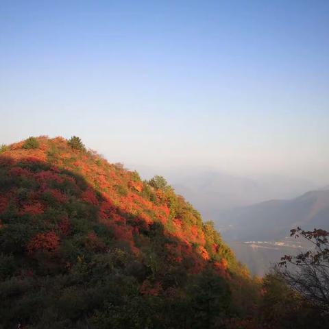 海棠山上层林尽染，秋意渐浓