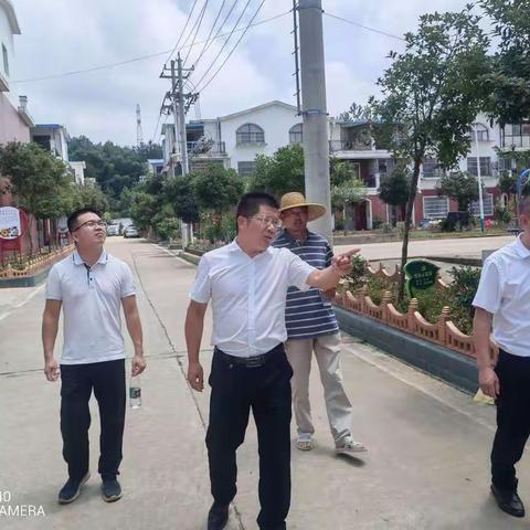 镇李书记. 艾书记到六安祖社区检查党建示范湾工作并提出重要指示