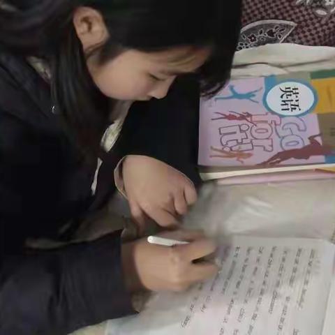 美好寒假，精彩生活--淮阳中学初中部七25班学生寒假生活美篇