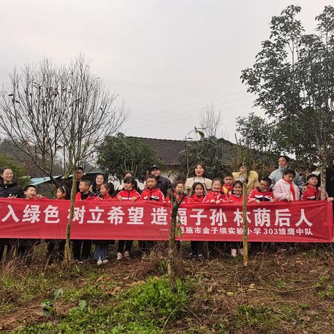 植入绿色🌺树立希望，金子坝实验小学303雏鹰中队——植树小组