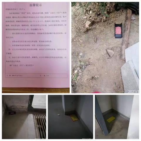珑印台社区开展冬季灭鼠以及环境卫生大整治工作