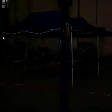 “一抹微光守护万家灯火”——珑印台社区抗疫纪实之社区党支部书记篇