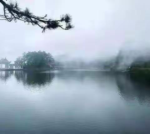 昨宵微雨打窗声，倚枕清寥梦不成——张氏宗亲诗社七月听雨诗集