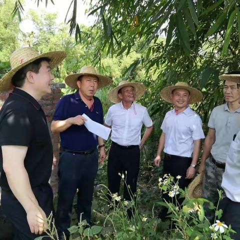 严格落实“河长制”抓好问题整改——省政协李国梁副主席到陵水开展巡河调研工作