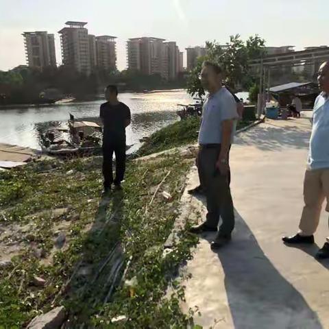 以问题为导向从严抓好四乱问题整改——县委常委、县政府常务副县长何兆智一行到英州镇巡河调研“四乱”问题整改