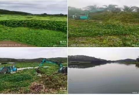 陵水县集中开展“清河行动”