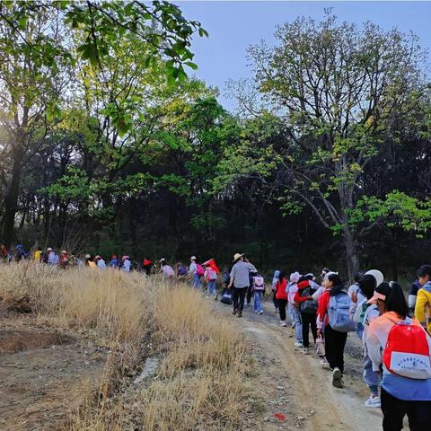 与春相约，不负时光—九河完小春游远足活动