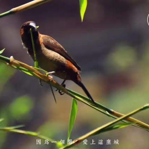 立德立言，无问西东