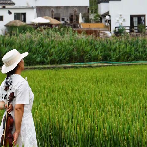 一個被我遺忘的地方