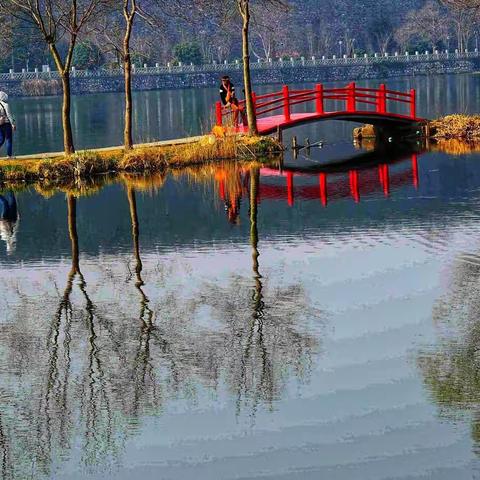 把所有對春天的言語留在鏡頭裡