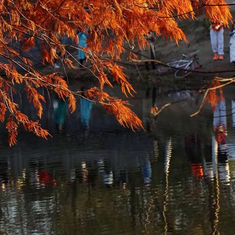 誰在城市裡尋找