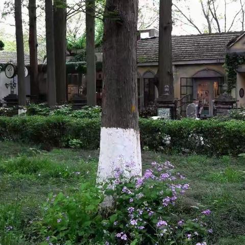 T80，這裡的風景不可忽略