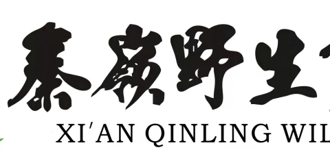 秦岭野生动物园探索学院夏令营火热招募中……