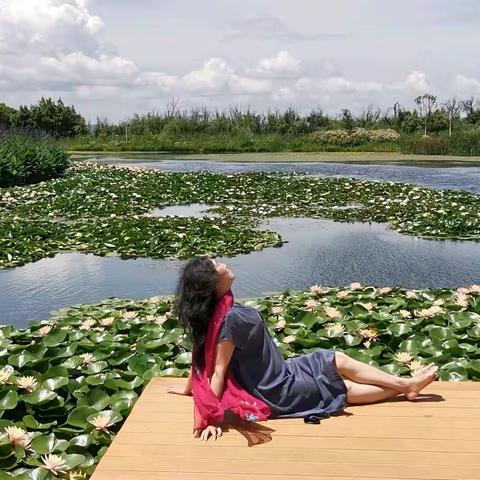 🏕官庄湿地🏕