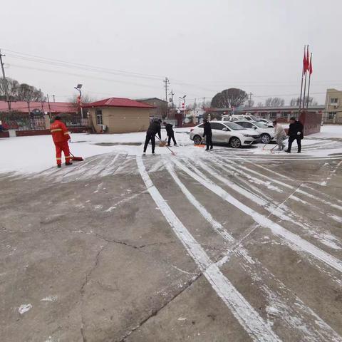 【以雪为令 即下即清 雪停路净】顾家营镇开展扫雪行动