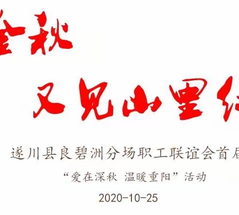 金秋，又见山里红……