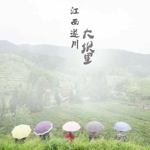 遂川大坝里，你来  我“氧”你……