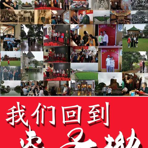 五月•礼赞
