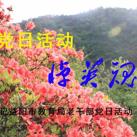 党日活动悼英魂