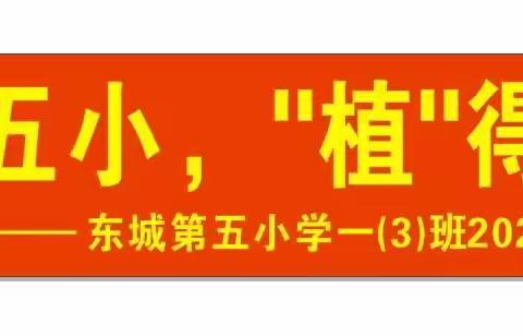 绿满五小，“植”得期待——东城五小103班春季研学